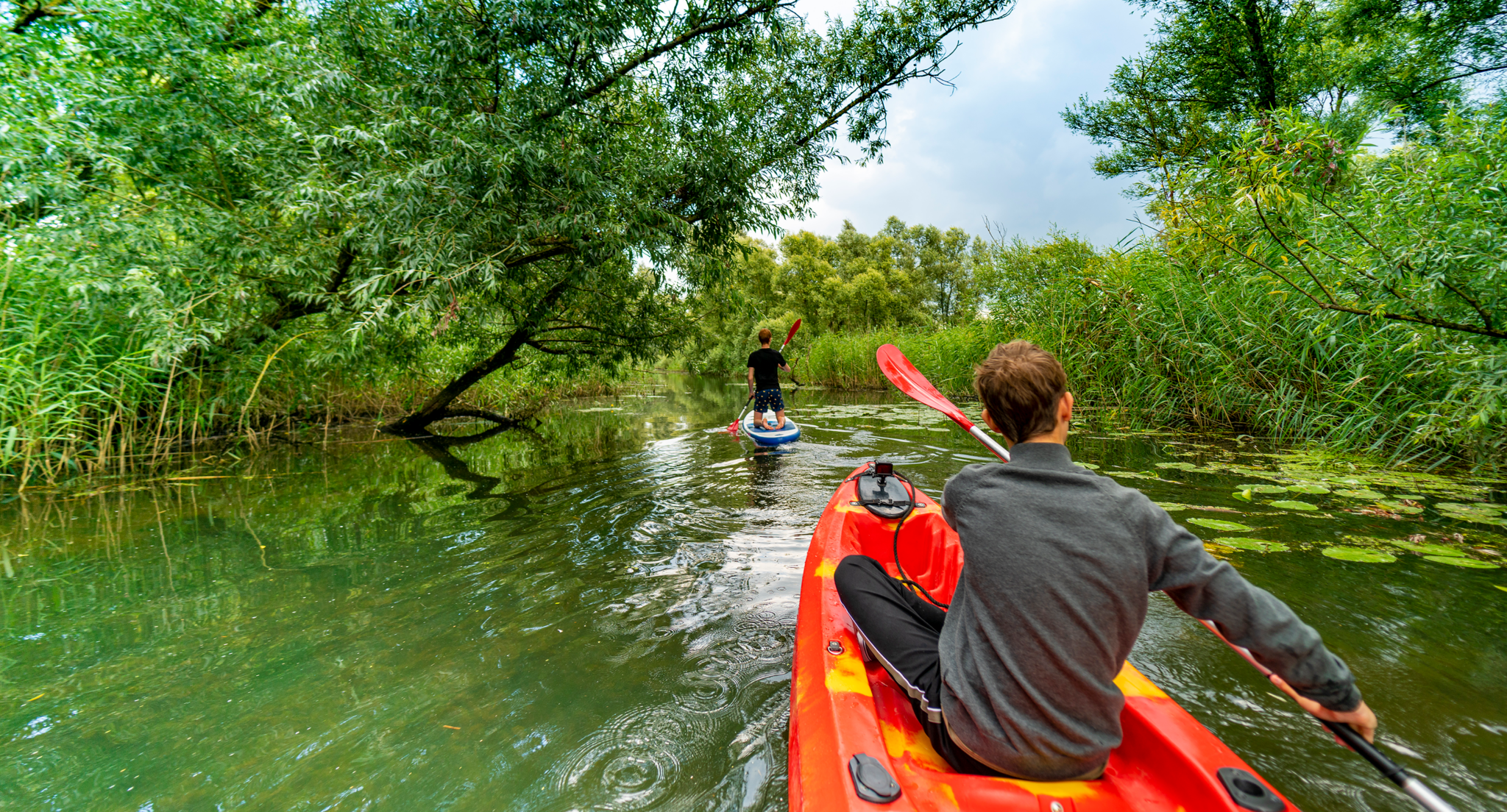 Hoofdfoto vaargebied Biesbosch