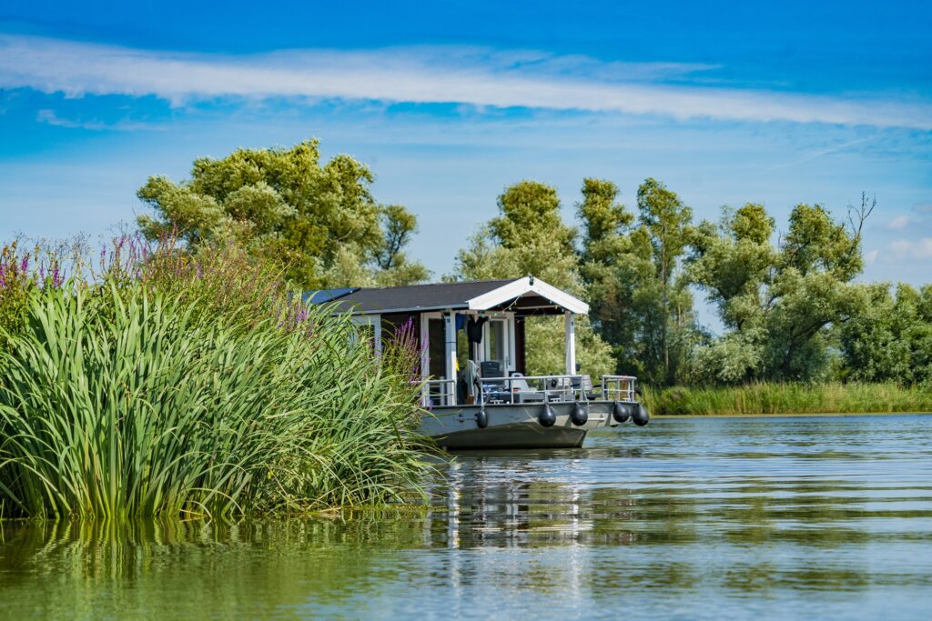 aakvlaai riet