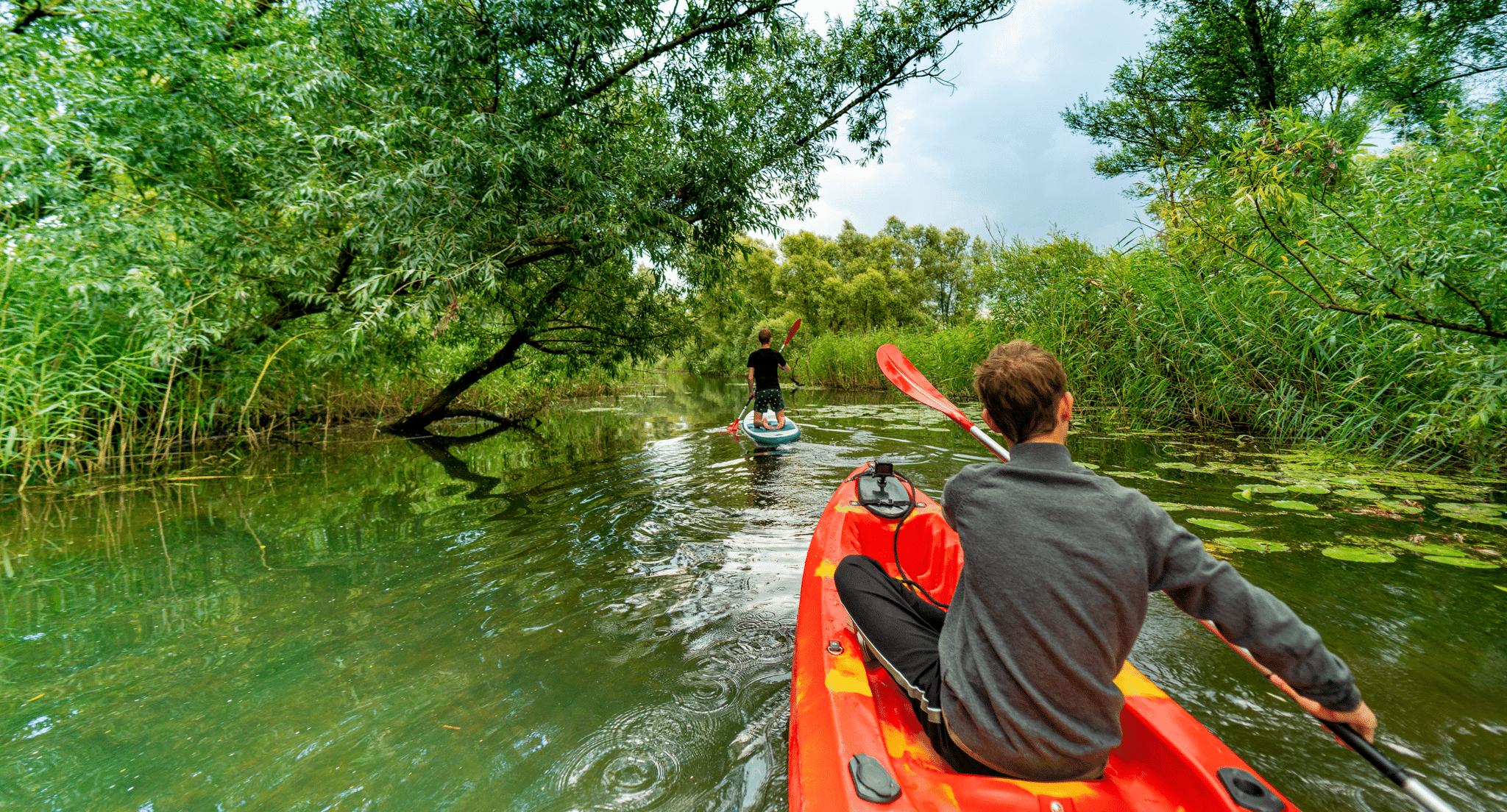 Hoofdfoto vaargebied Biesbosch